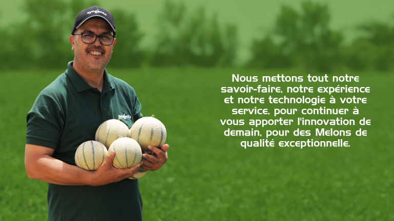 Melon
