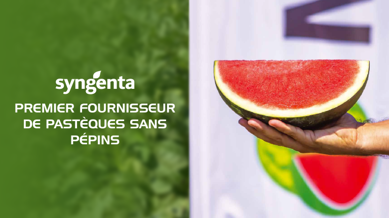 Pastèque