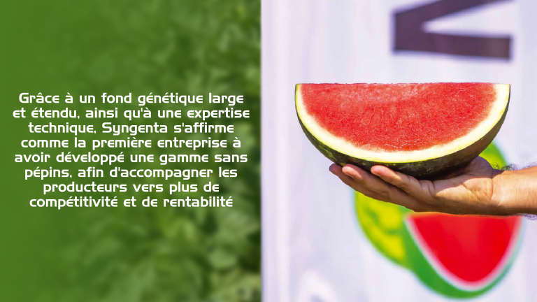 Pastèque