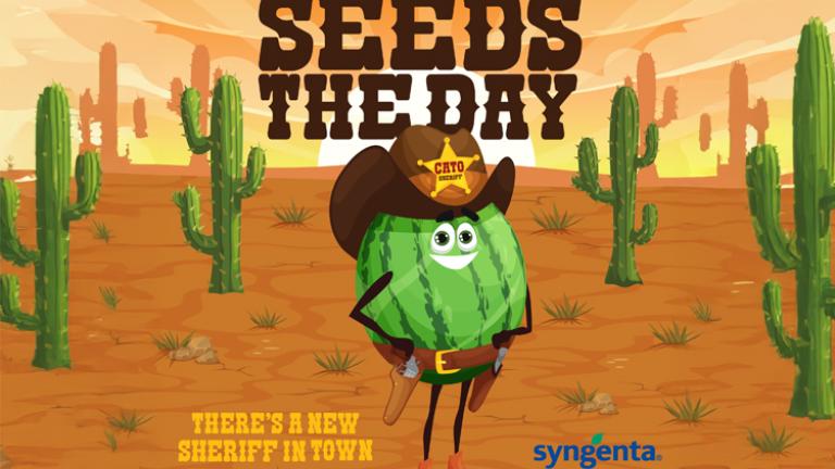 Seeds the Days NWA Thumbnail