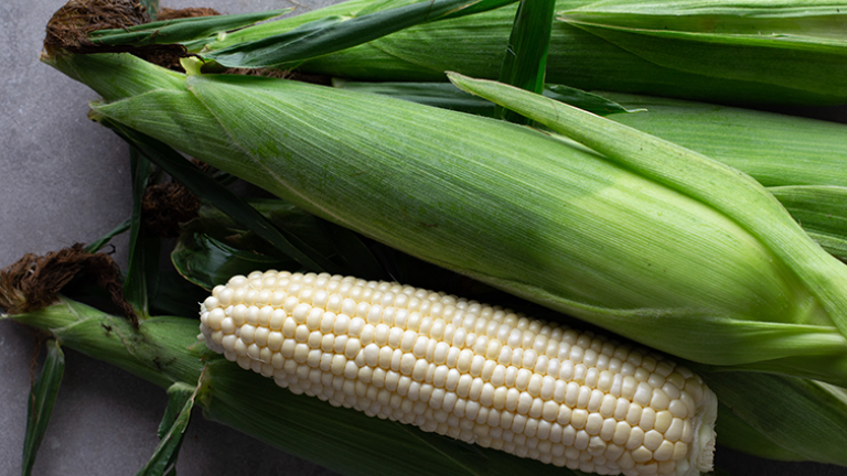 Glacial Sweet Corn
