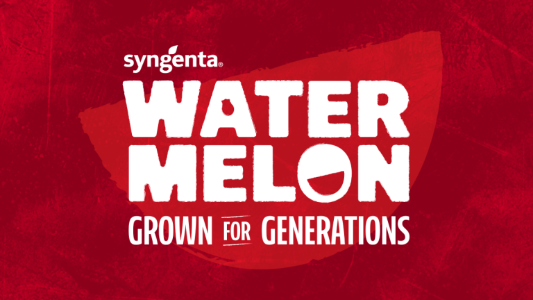 Watermelon article image