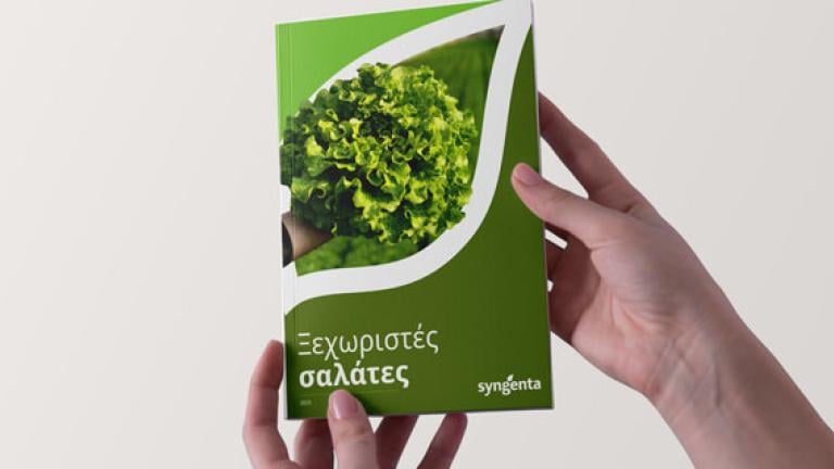 Ξεχωριστές Σαλάτες