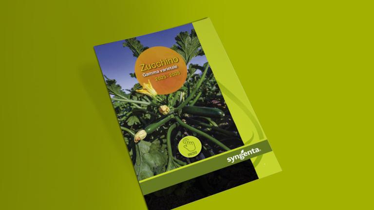 Catalogo gamma zucchino 2025-2026