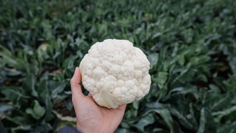 cauliflower