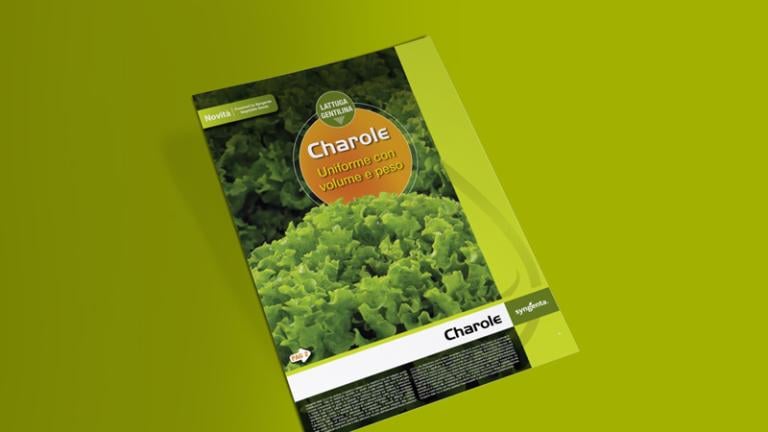 novita lattuga brochure