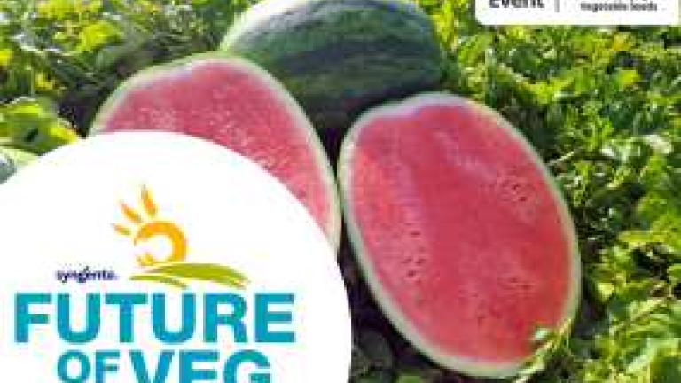 Future of Veg Woodland Thumbnail