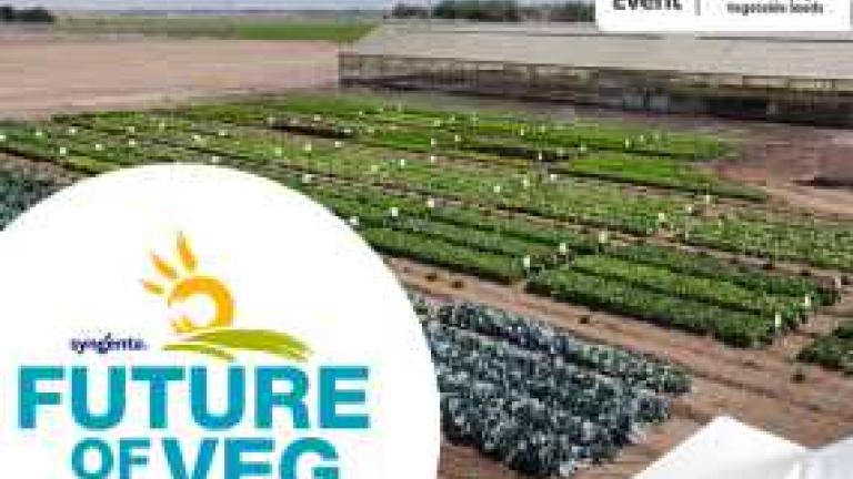 Future of Veg_Salinas