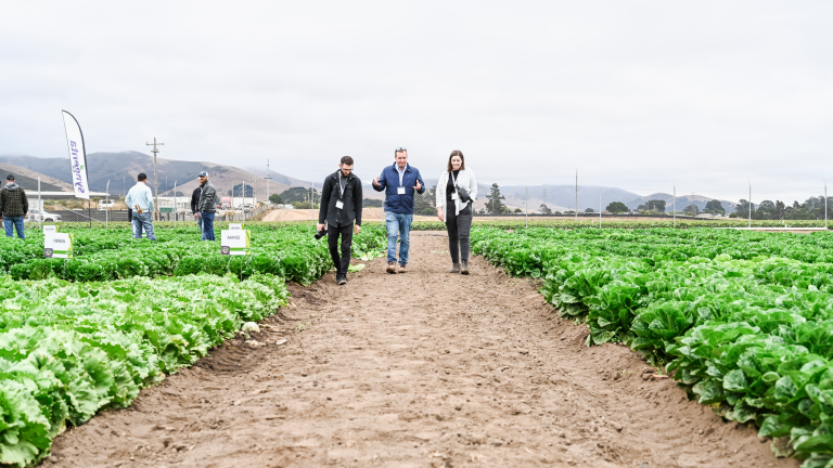 future of veg image