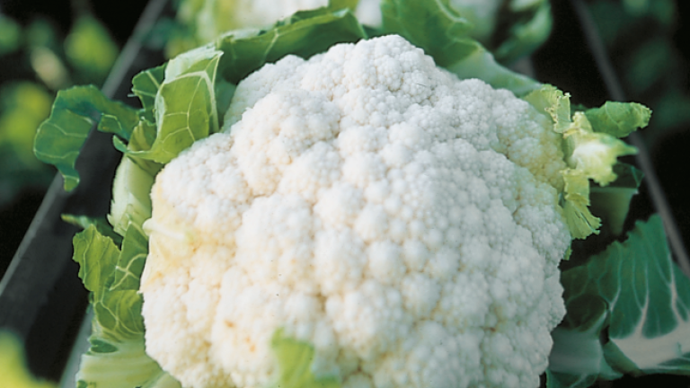 White Cauliflower