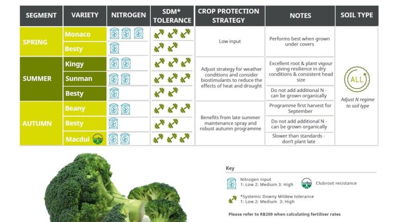 Broccoli Growing Advice