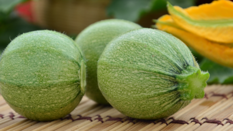 calabaza_480x360.png