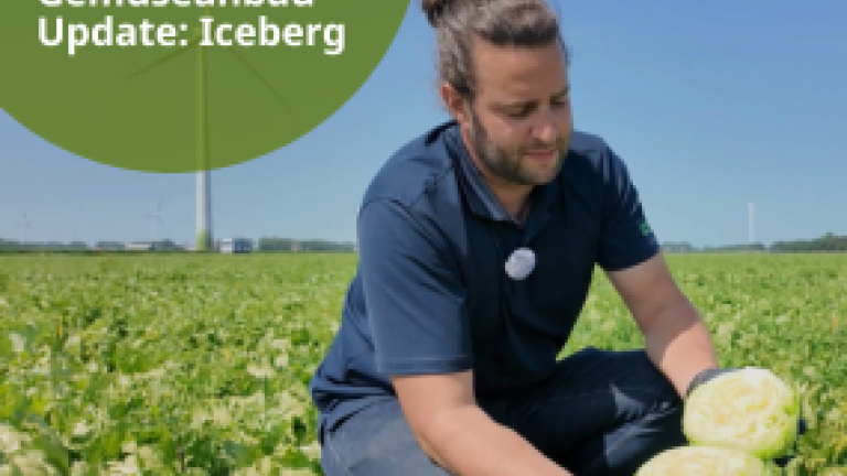 Gemüsebau-Update IceCountry