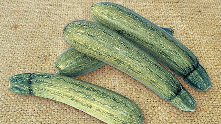 Courgette