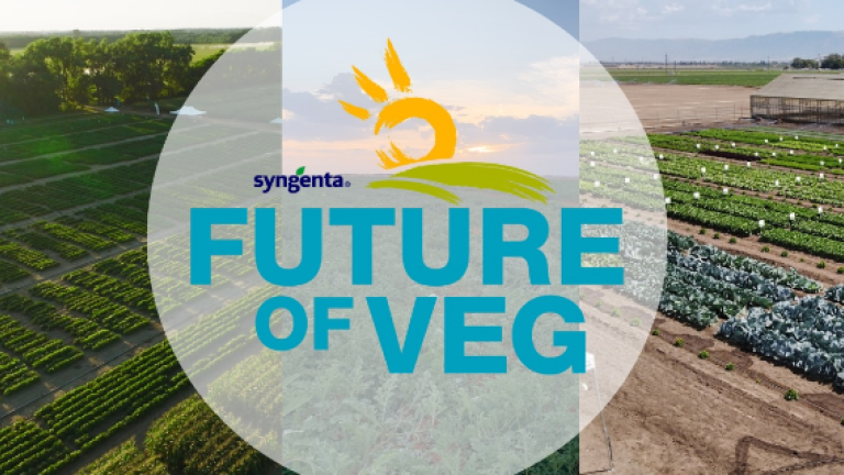 future_of_veg_salinas