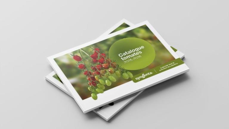 catalogue tomate 2026