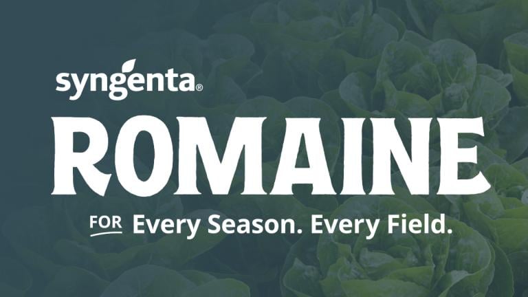 Romaine for every season, every field.