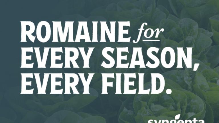 Romaine for every season, every field.