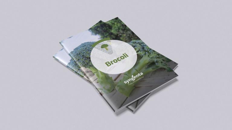 Catalogue Brocoli 