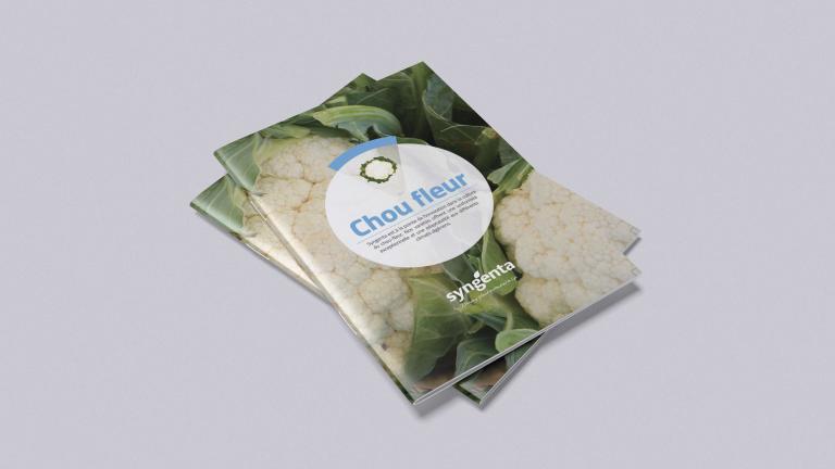 Catalogue Chou-fleur