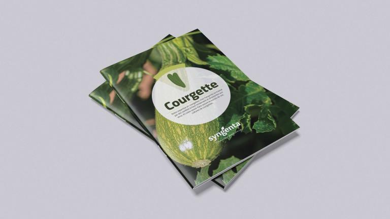 Catalogue Courgette