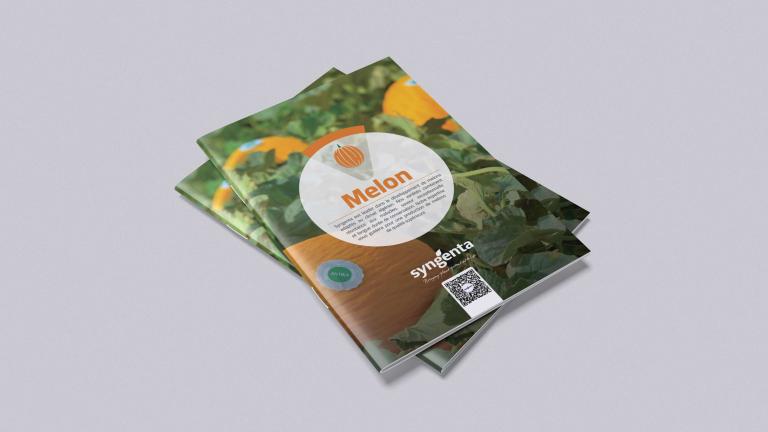 Catalogue Melon