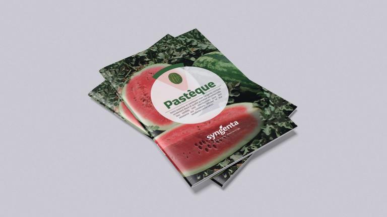 Catalogue Pastèque