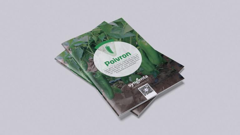 Catalogue Poivron