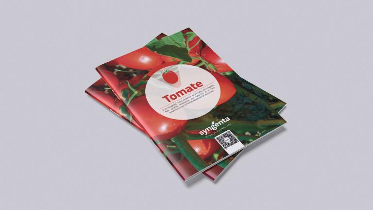 Catalogue Tomate