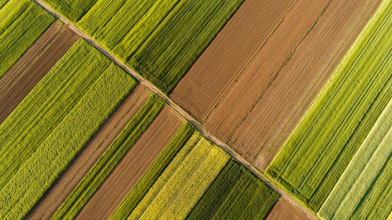 Land