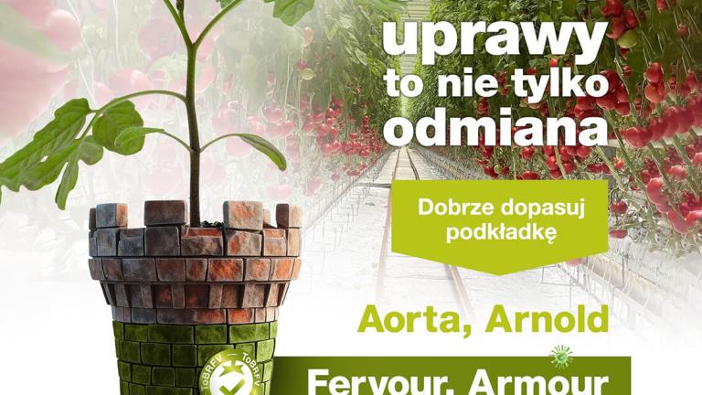 Sukces uprawy to nie tylko odmiana - dobrze dostosuj podkładkę