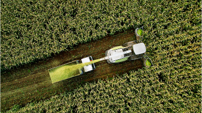 Birdview of corn field with harvester
