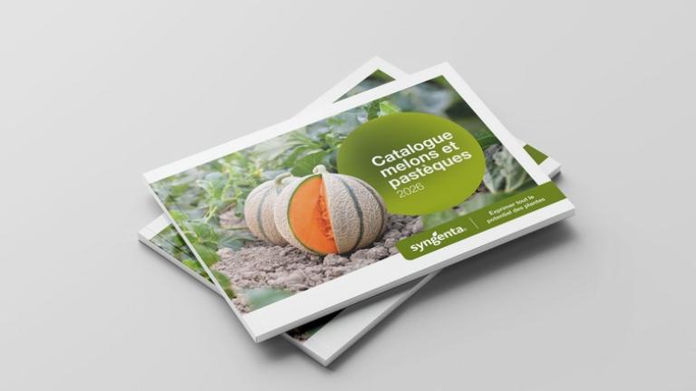 Catalogue jeune melon et pastèque 2026