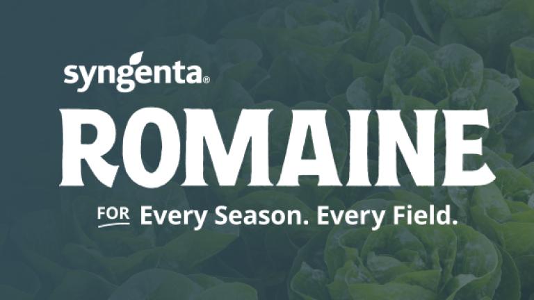 Syngenta Romaine for Every Season, Every Field logo