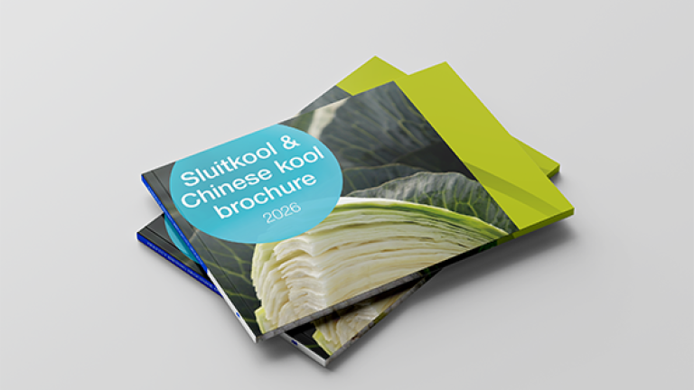 570x428_wittekool_brochure-2026