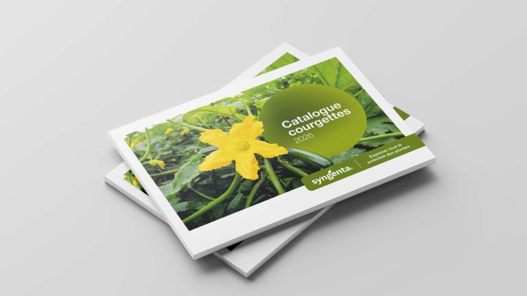 Mockup catalogue courgettes 2026