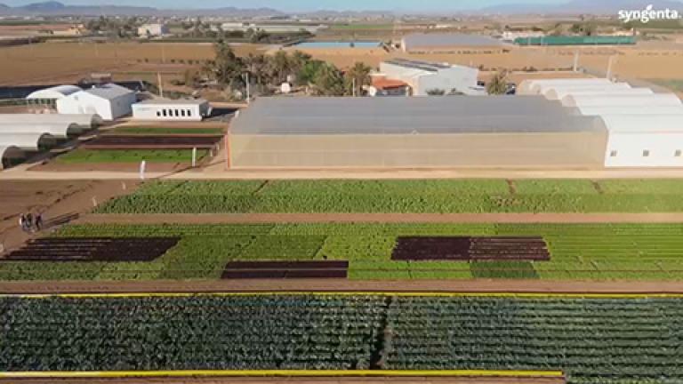 Demo Days Salads 2026