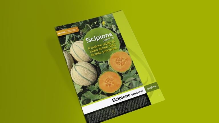 Novità Melone Scipione