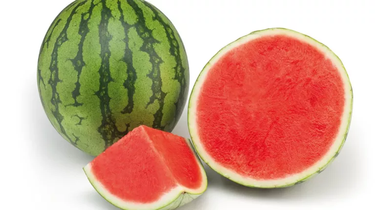 watermelon image
