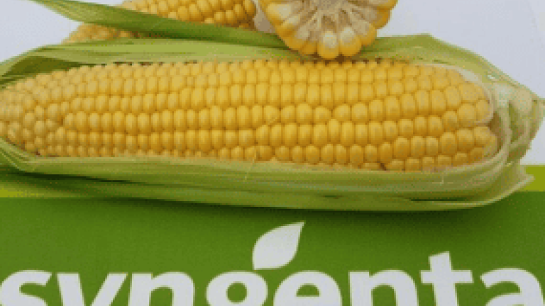 New Syngenta thumbnail 285X214