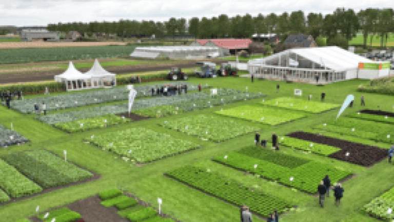 New syngenta thumbnail 285x214