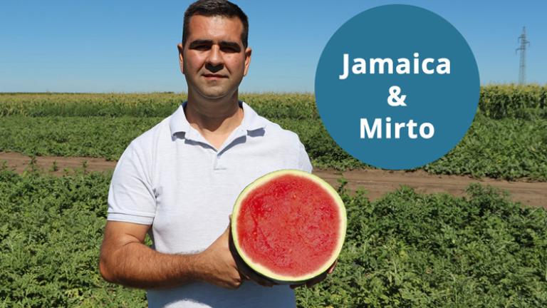 Jamaica és Mirto - Az ideális kapcsolat