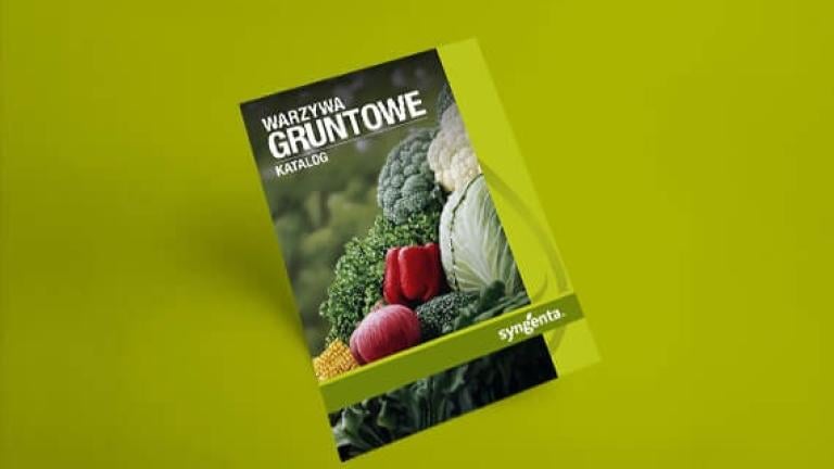 Katalog - warzywa gruntowe