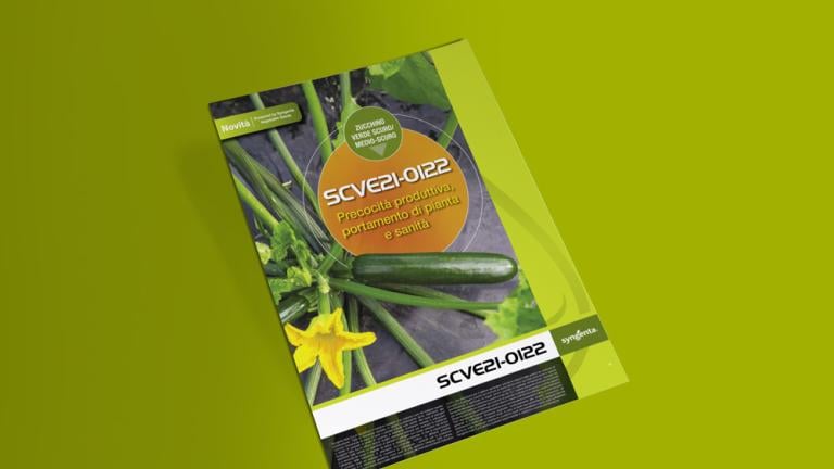Novità zucchino SCVE21-0122