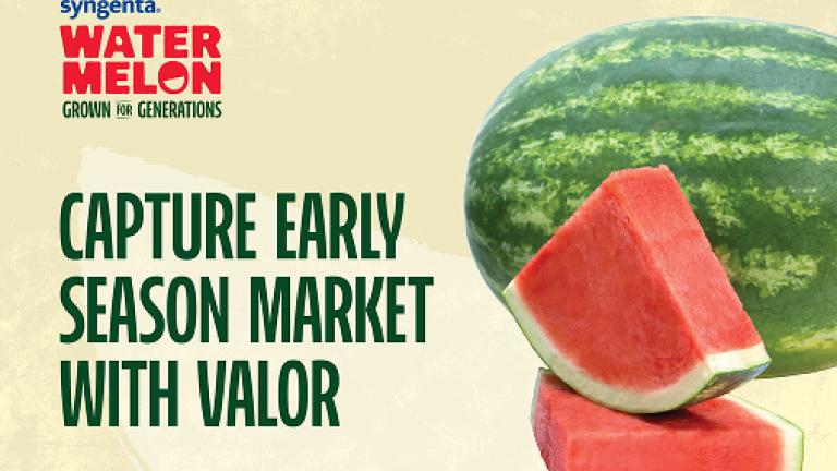 Watermelon Slice