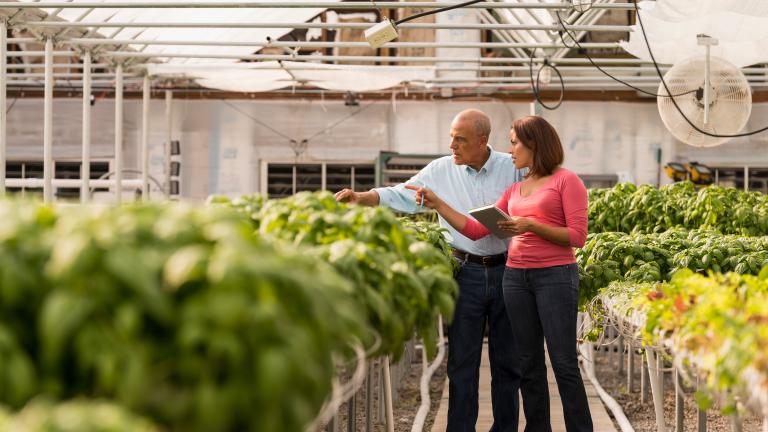 Innovations in green house