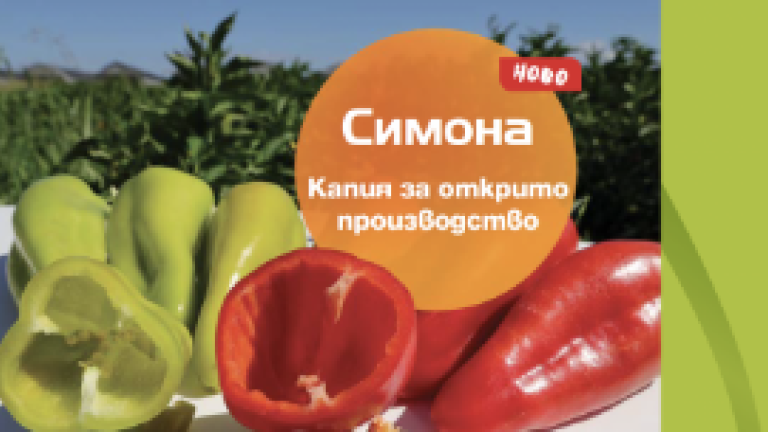 document bulgaria image