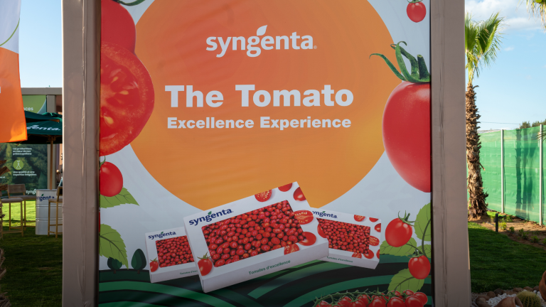 Tomato Excellence