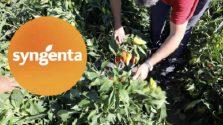 syngenta video bulgaria image