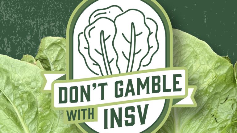 Don't gamble with insv